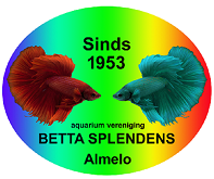 Aquariumvereniging Betta Splendens Almelo